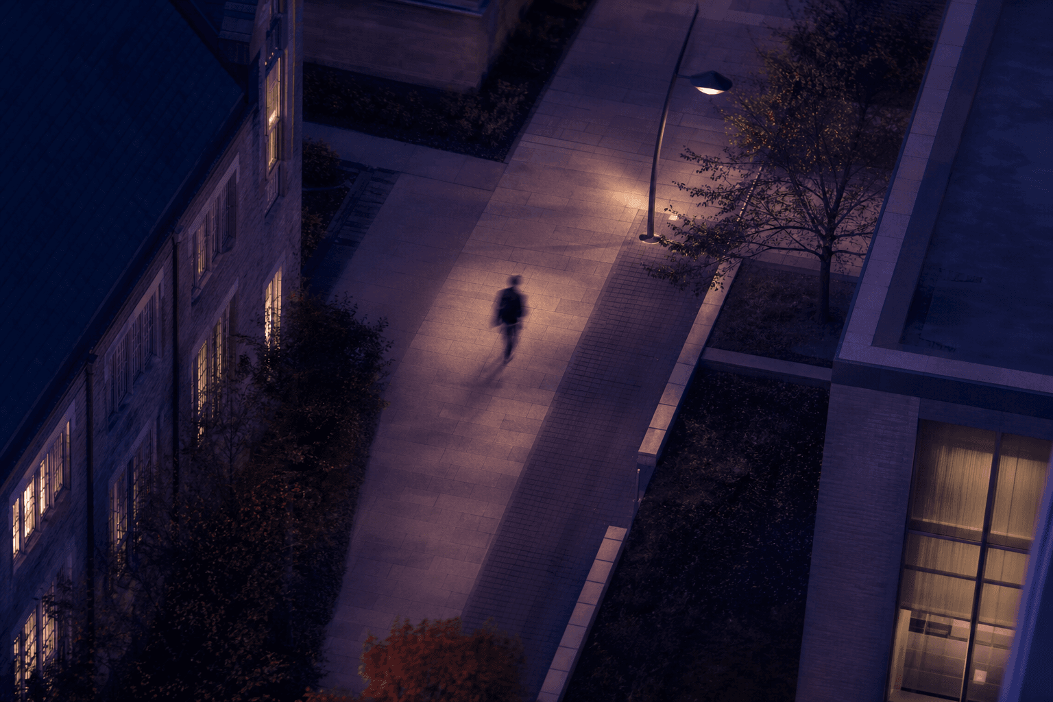 Student Productivity Hacks: Voice Brain Dumps Between Classes